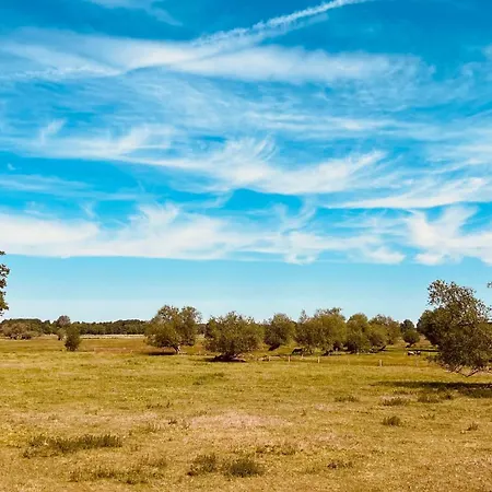 Apartment Quartier Alte Schule Breese