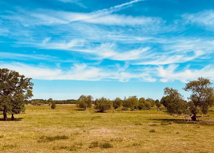 Lägenhet Quartier Alte Schule Breese